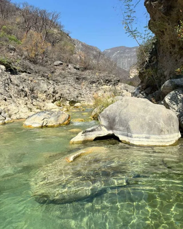El paraíso escondido de Hidalgo con cascadas, cactus gigantes y un manantial cristalino