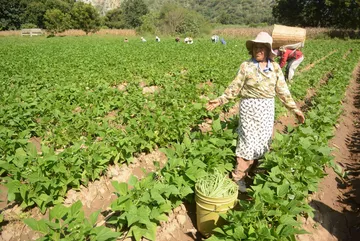 Congreso de Hidalgo llama a respaldar derechos de la mujer campesina