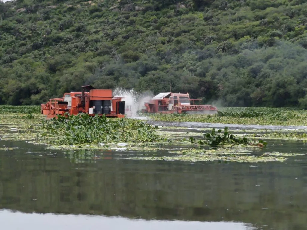 Semarnath pide apoyo a Tula para cubrir diésel de trituradoras de lirio en presa Endhó