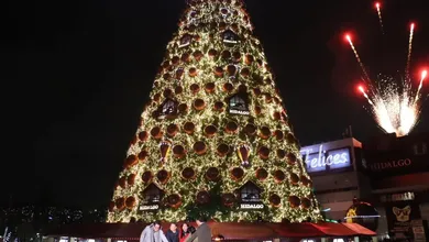 Encendida de árbol