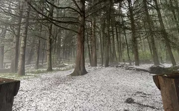 Sorprende granizo en Mineral del Chico
