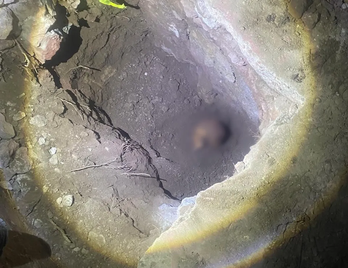 Hallan cráneo humano durante instalación de poste de videovigilancia en Tlapacoya