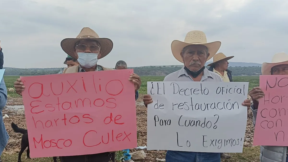 “Vivimos en un infierno”: pobladores protestan por lirio acuático y plaga de moscos en la presa Endhó
