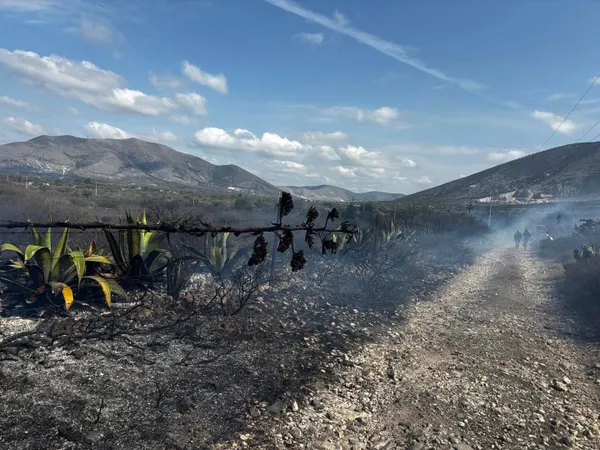 Incendio en pastizales en Cardonal