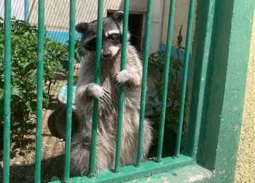 Preparan reapertura de Bioparque Tekuayan en Tizayuca