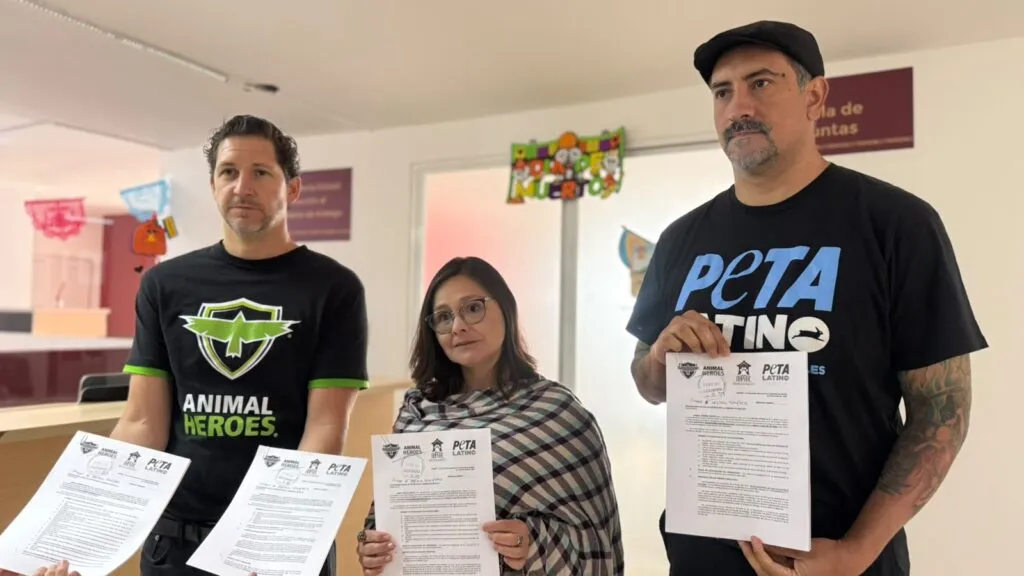 ¡Corridas de toros bajo la lupa! Denuncian a cuatro municipios de Hidalgo