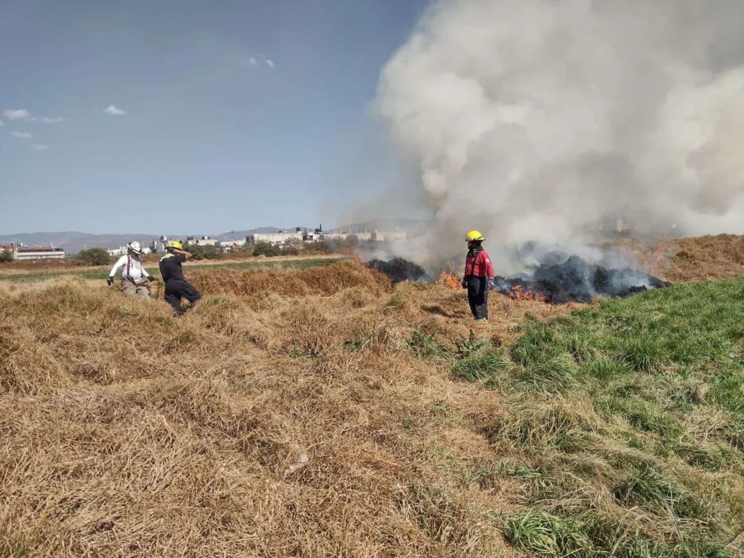 Controlan incendio en terrenos de Mineral de la Reforma
