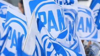 Banderas del Partido Acción Nacional