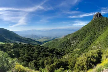 Senderista resulta lesionada y es rescatada tras sufrir accidente en cerro de Ixmiquilpan