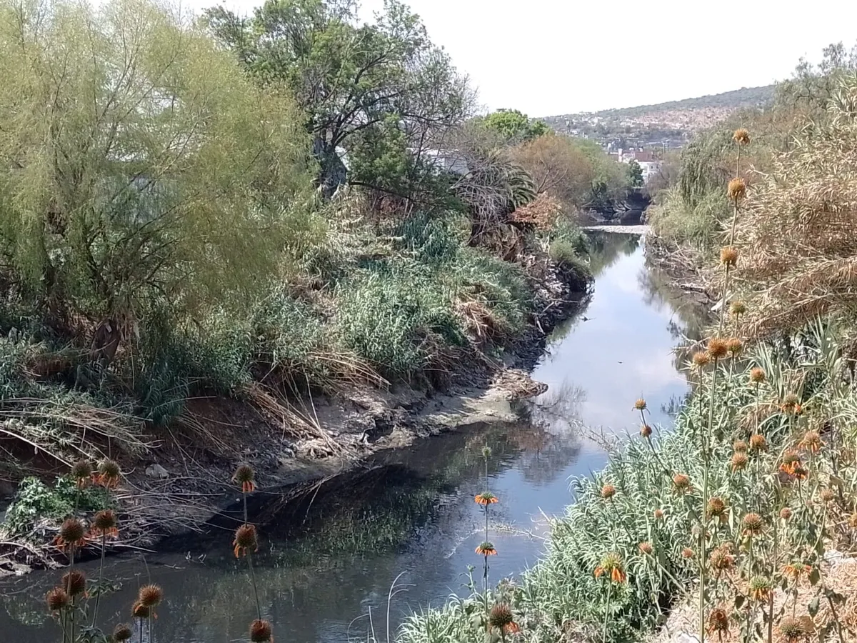 Ampliar el río Tula no resuelve riesgo de inundación: especialista