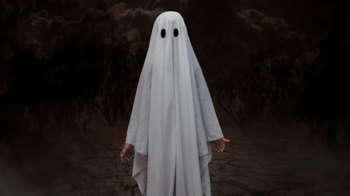 Disfraces baratos y creativos para Halloween 2024. Revisa estas opciones