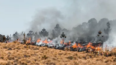 Incendio en Huichapan