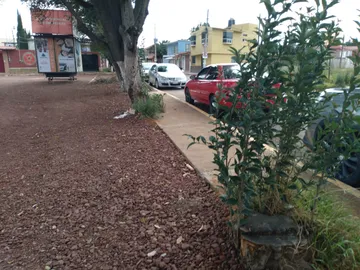 Vecinos denuncian construcción sobre canal de riego del manantial Los Cangrejos