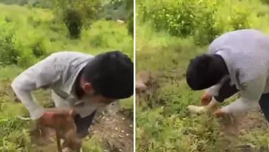 Indignación en Hidalgo: un video muestra cómo dos sujetos maltratan a perros en Tenango de Doria.