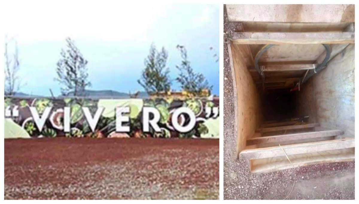 Pachuca: Desmantelan vivero que ocultaba túnel de huachicol; ve ubicación