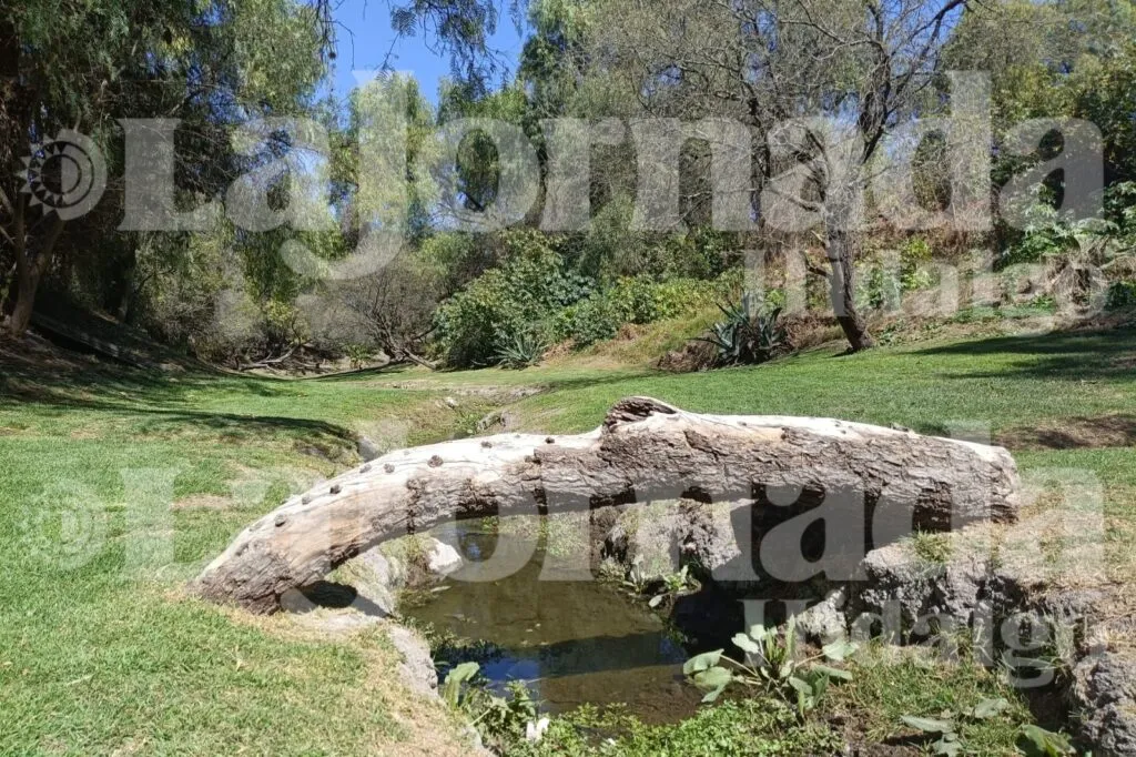 Semarnat inicia proyecto comunitario de restauración en la cuenca del Tula