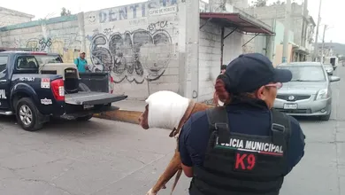 Rescatan a perro victima de maltrato animal en San Cayetano