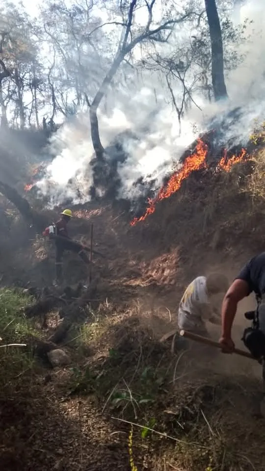 Semarnath reporta 10 incendios forestales y un conato en Hidalgo en las últimas 24 horas