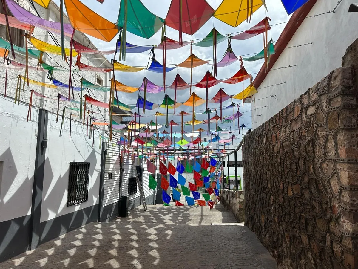 Retiran papalotes de callejón en Pachuquilla; propietario exigía pago mensual de 20 mil pesos