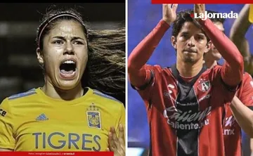 fifa