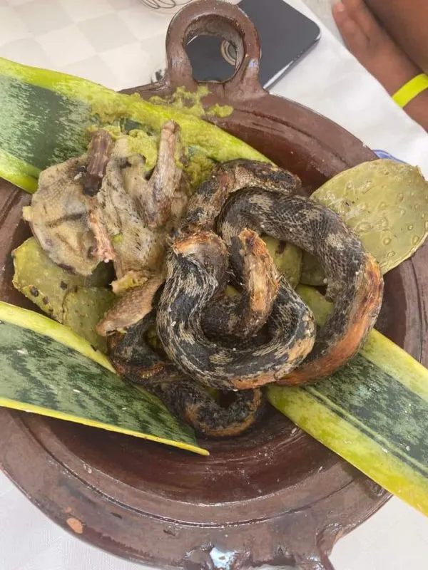 Habrá mercado exótico en Santiago de Anaya