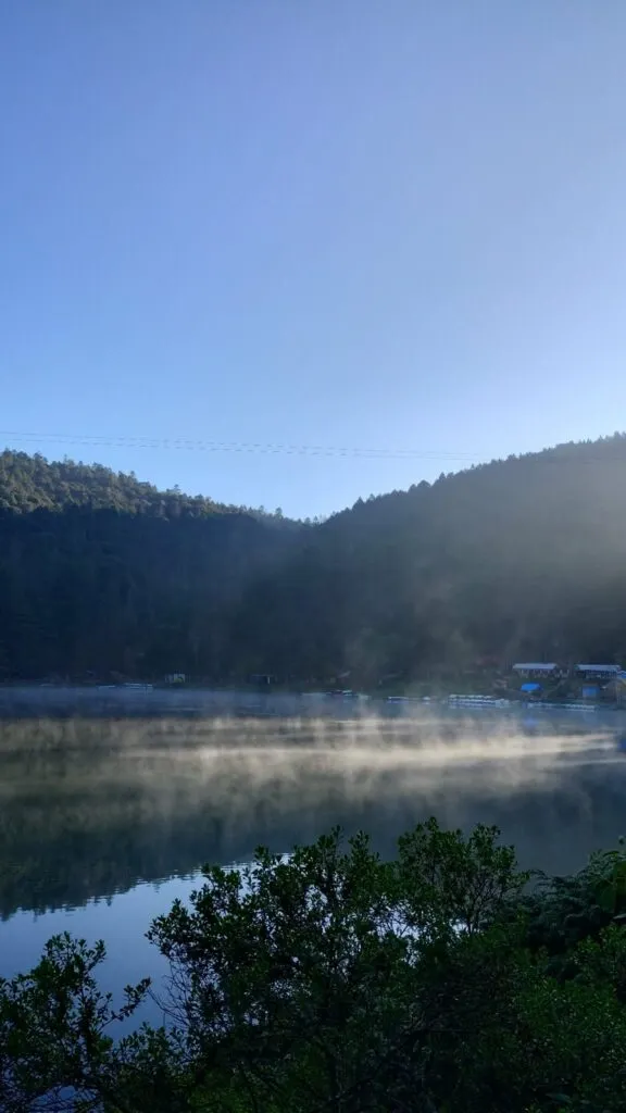 Vacaciones en Hidalgo: tres bosques que debes conocer