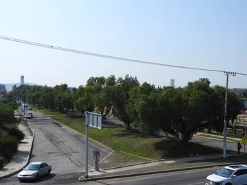 La presión vecinal logró acuerdos con Semarnath tras la polémica por los árboles en Fomento Minero. Ahora piden estudios, transparencia y planes reales de reforestación.