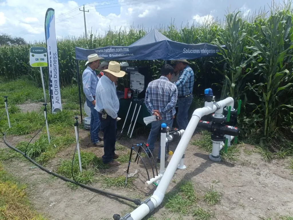 Nivelación de parcelas en Hidalgo ahorra millones de litros de agua y aumenta producción de maíz
