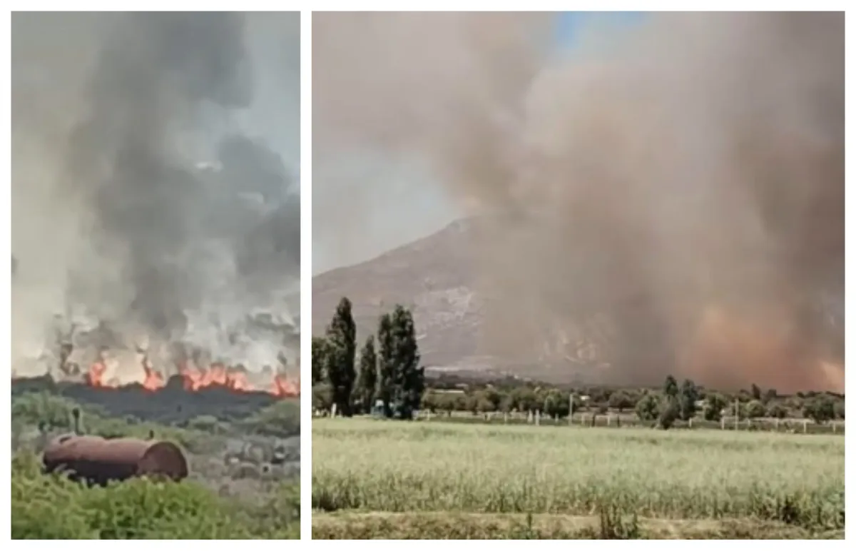 Fuerte incendio moviliza a cuerpos de emergencia en Francisco I. Madero