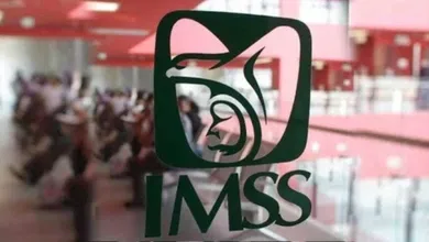 El Tarjetón Digital del IMSS 2026 permite a pensionado y jubilado consultar pagos, descargar comprobantes y evitar largas filas.