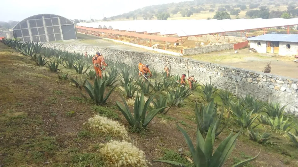 Palacios Cadena obligaba a personal de SOPOT a limpiar rancho de exsecretario
