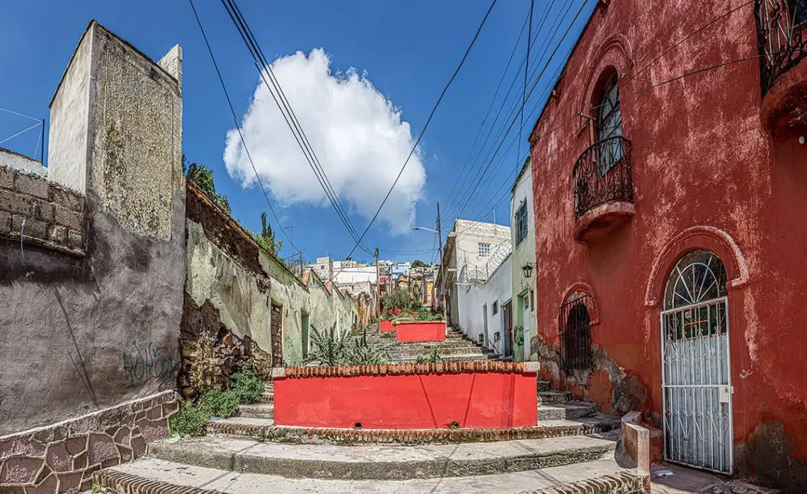 Organización Fronda genera jardines de polinización en Pachuca