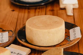 Concurso del Mejor Queso de Acatlán 2026 ya tiene fecha y categorías