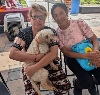 Arrancó Festival de Bienestar Animal en Tizayuca con 120 esterilizaciones gratuitas