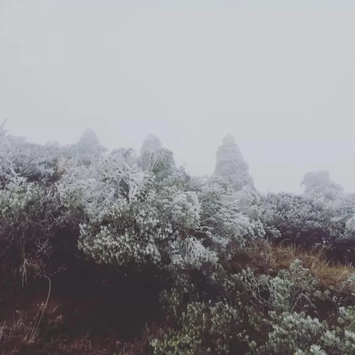 Reportan intensas heladas en el Valle del Mezquital