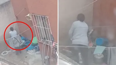 Imágenes muestran agresión a un perro en Pachuca; asociaciones llaman a denunciar y rescatar al animal.