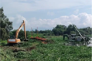 Crecimiento del lirio acuático en presa Endhó preocupa a autoridades ambientales