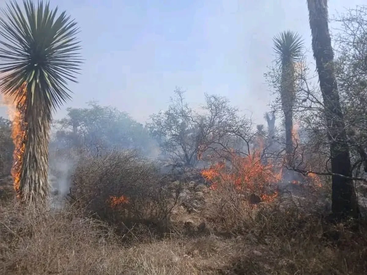 Registra Huichapan más de 60 incendios forestales en menos de un mes