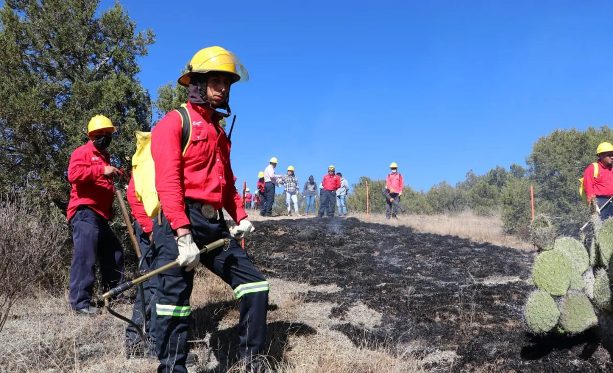 Semarnath previene incendios forestales en barrio La Camelia, Pachuca