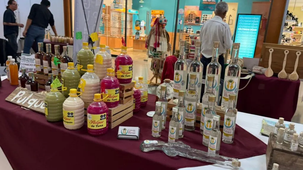 Concluye la exposición “Los Campos de Hidalgo” en Explanada Pachuca