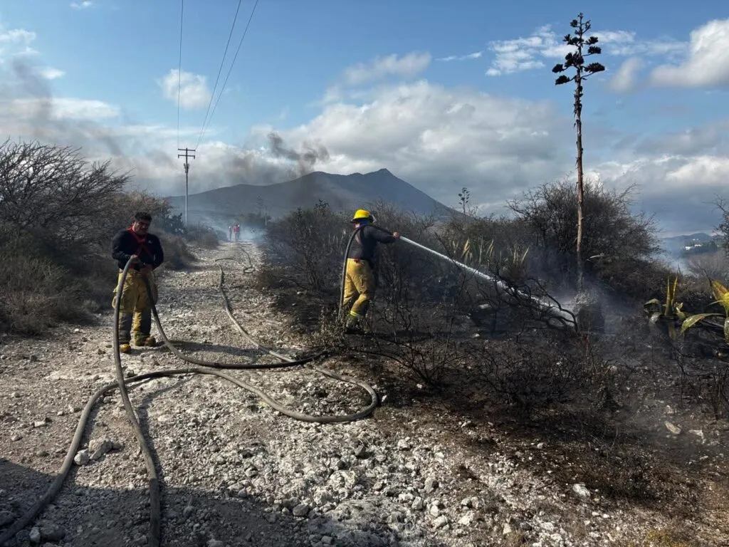 Incendio consume hectárea de terreno en Cardonal