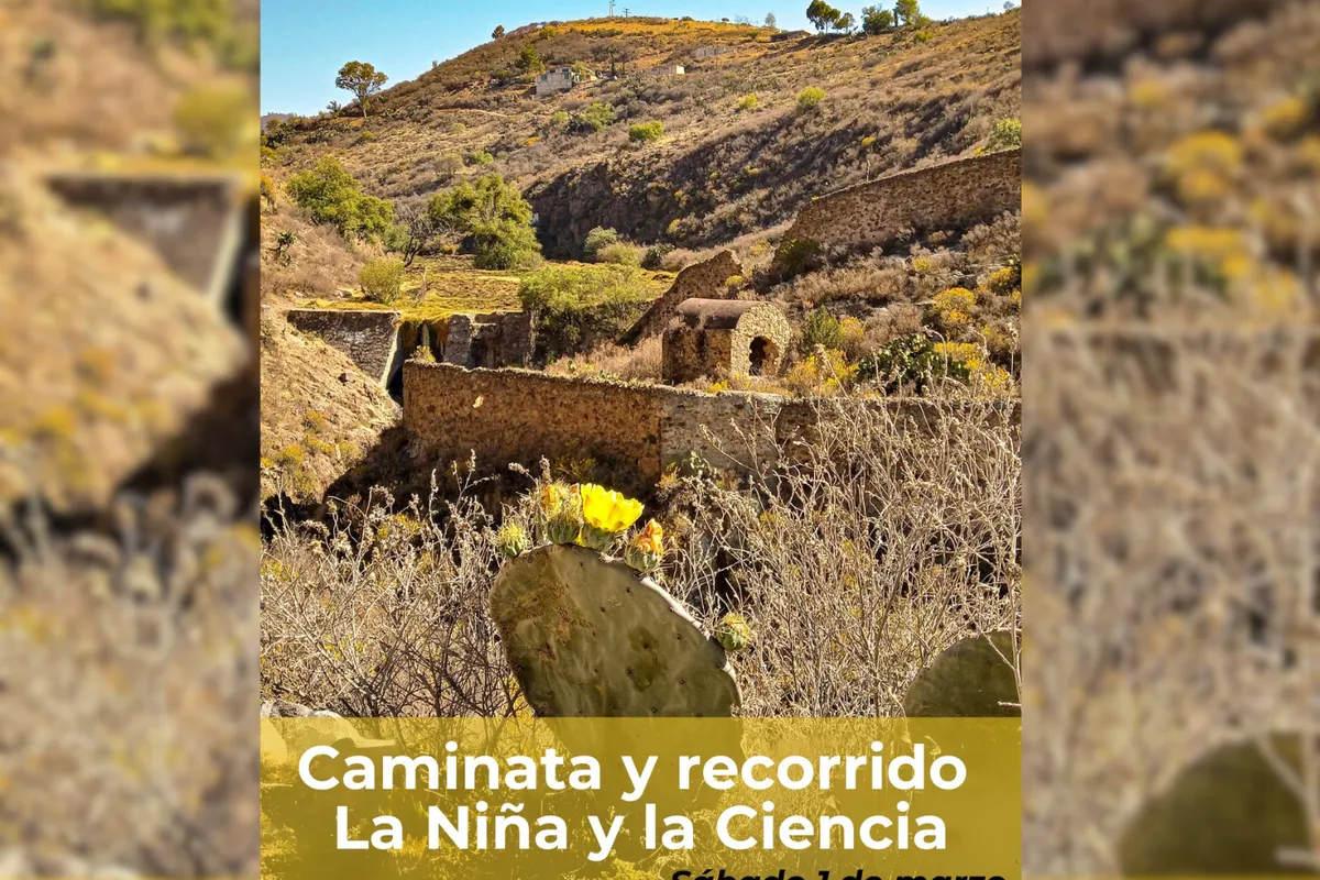 Participa en la Caminata La Niña y la Ciencia este 1 de marzo en Pachuca