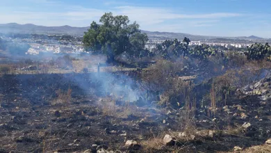 Un incendio en pastizales de Mineral de la Reforma movilizó a cuerpos de emergencia. No hubo lesionados.