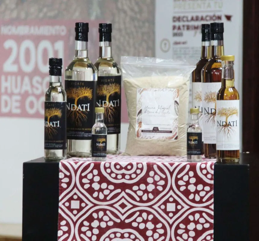 Santiago de Anaya: ¿ya conoces el destilado de Mezquite? Te decimos de qué se trata