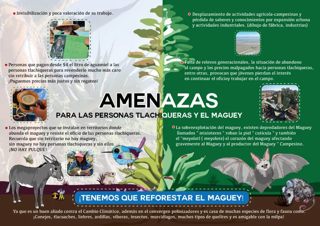 Ciudadanos se oponen a parque fotovoltaico en Hidalgo por riesgo ambiental y cultural