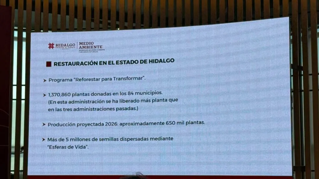 Pachuca: árboles marcados en Fomento Minero no serán derribados, asegura Semarnath