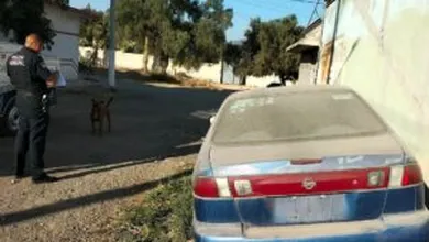 Auto abandonado