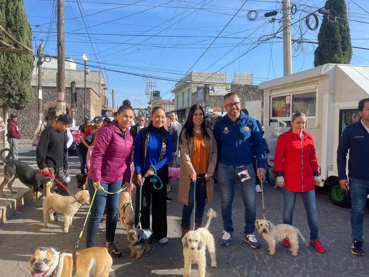 Autoridades y voluntarios realizan jornada gratuita de esterilización y vacunación de mascotas en Villa de Tezontepec