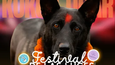 Real del Monte se llena de luz y amor por los animales con el Kukur Tihar, festival que celebra su lealtad y protección.
