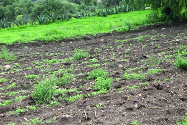 Infraestructura agrícola: así buscan optimizar el uso del agua en comunidades rurales.